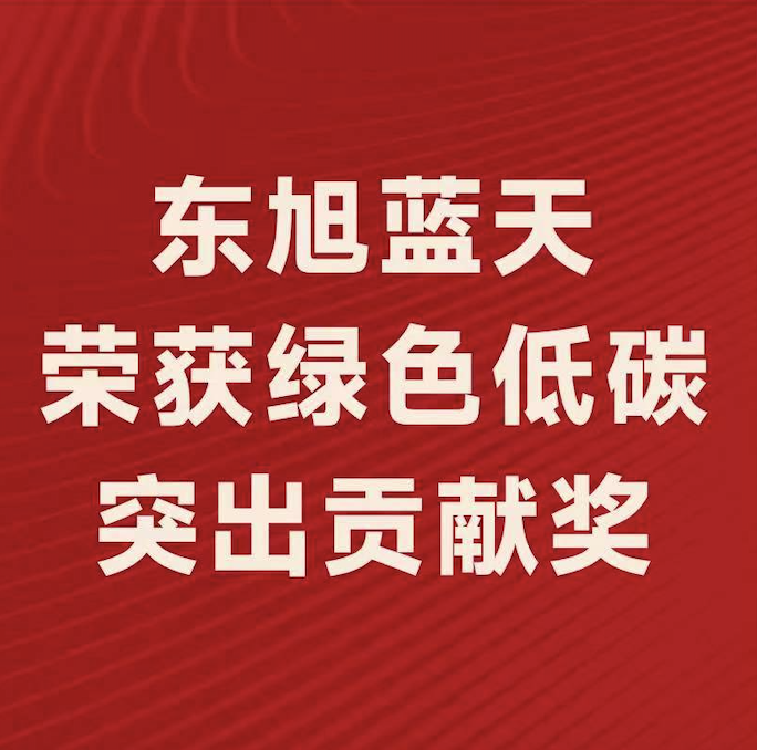 喜報〡東旭藍天斬獲“2022年度綠色低碳突出貢獻獎”